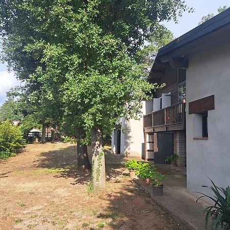 La Casa Del Pi Apartment El Pi de Sant Just Ngoại thất bức ảnh