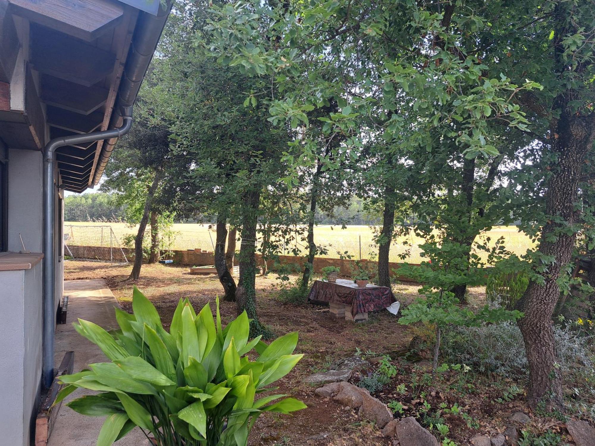 La Casa Del Pi Apartment El Pi de Sant Just Ngoại thất bức ảnh